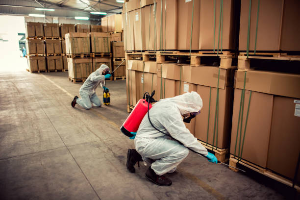 Best Residential Pest Control  in South Cleveland, TN