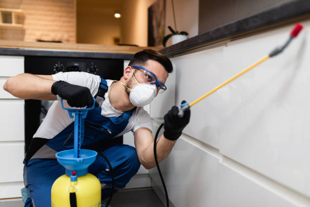  South Cleveland, TN Pest Control Pros