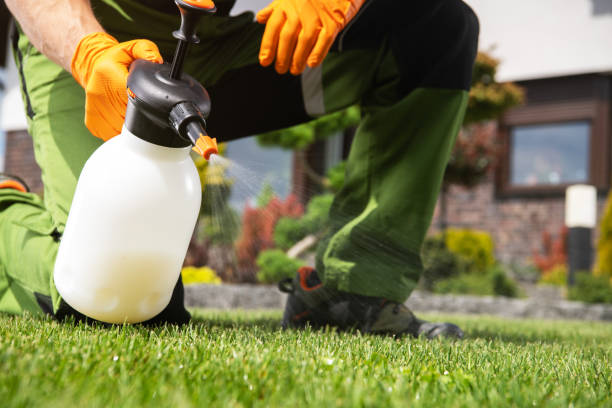 Best Flea Control Services  in South Cleveland, TN