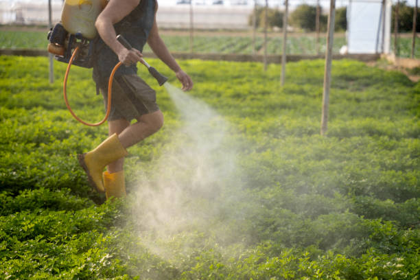 Best Ant Control Services  in South Cleveland, TN