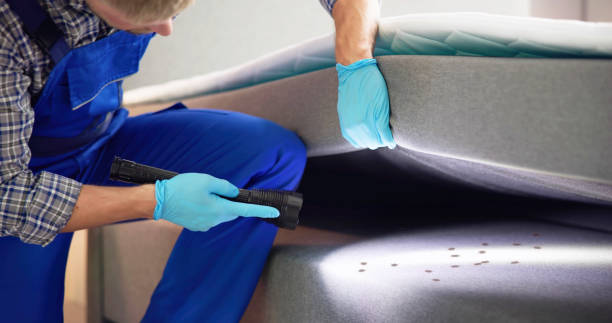 Best Exterminator Services  in South Cleveland, TN